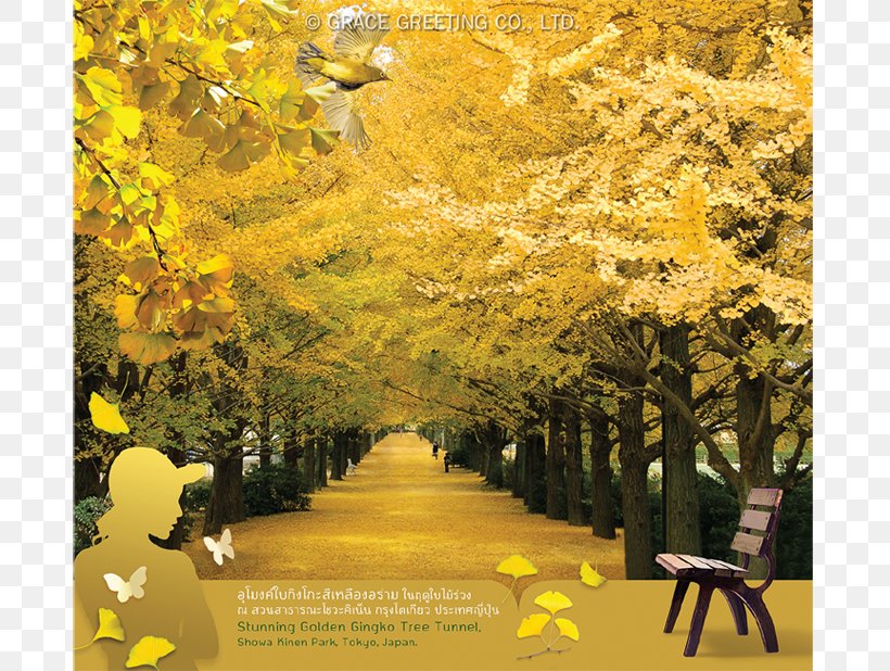 Calendar Season Autumn Year Wedding Invitation, PNG, 790x618px, 2017, Calendar, Autumn, Branch, Computer Download Free