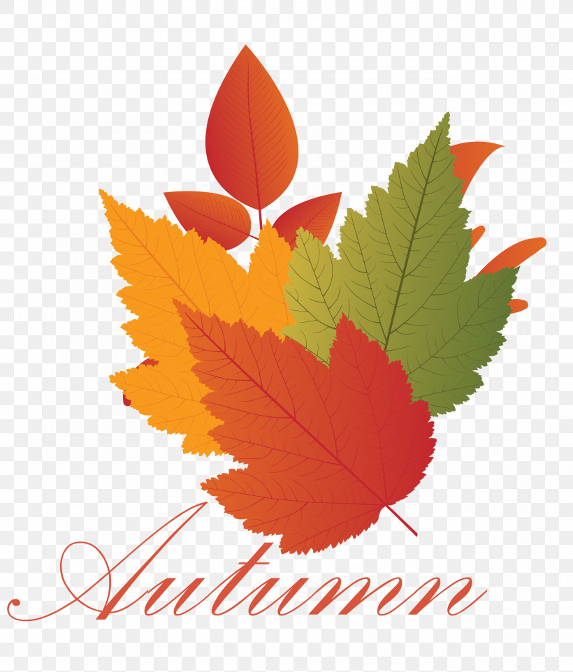 Hello Autumn Welcome Autumn Hello Fall, PNG, 2556x3000px, Hello Autumn, Autumn, Defoliation, Fall Maple Leaf, Green Download Free