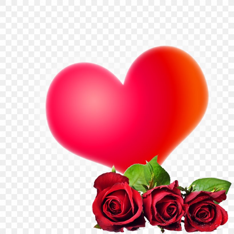 Rose Flower High-definition Video 1080p Wallpaper, PNG, 945x945px,  Watercolor, Cartoon, Flower, Frame, Heart Download Free