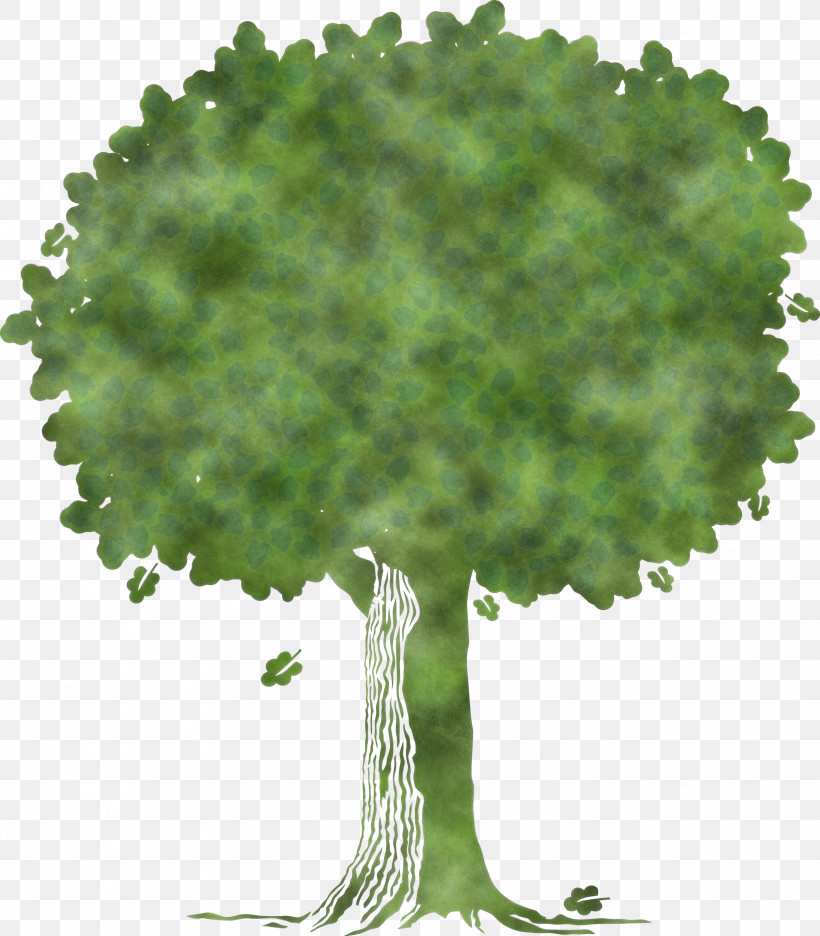 Arbor Day, PNG, 2628x3000px, Tu Bishvat Tree, Abstract Tree, Arbor Day, Cartoon Tree, Elm Download Free