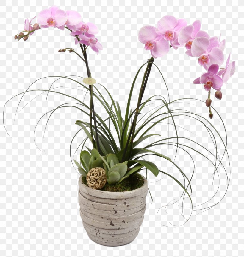 Cut Flowers Orchids Richmond Floristry, PNG, 1080x1136px, Flower, Artificial Flower, Cut Flowers, Floral Design, Floristry Download Free