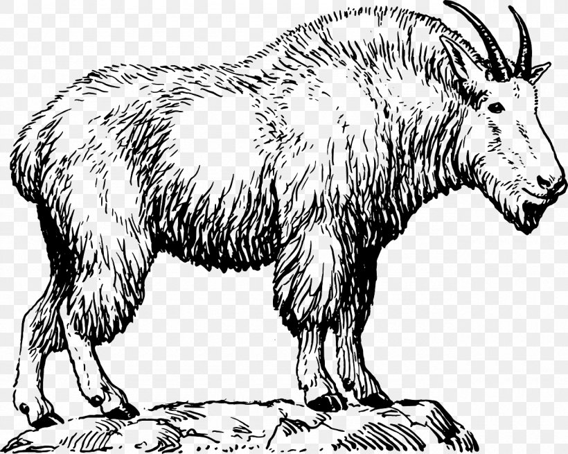 Mountain Goat Drawing Pygmy Goat Chamois, PNG, 1280x1023px, Mountain Goat, Animal Figure, Black And White, Cattle Like Mammal, Chamois Download Free