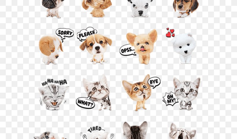 Puppy Cat Dog Breed Kitten Dachshund, PNG, 600x480px, Puppy, Animal Figure, Body Jewelry, Bumper Sticker, Carnivoran Download Free
