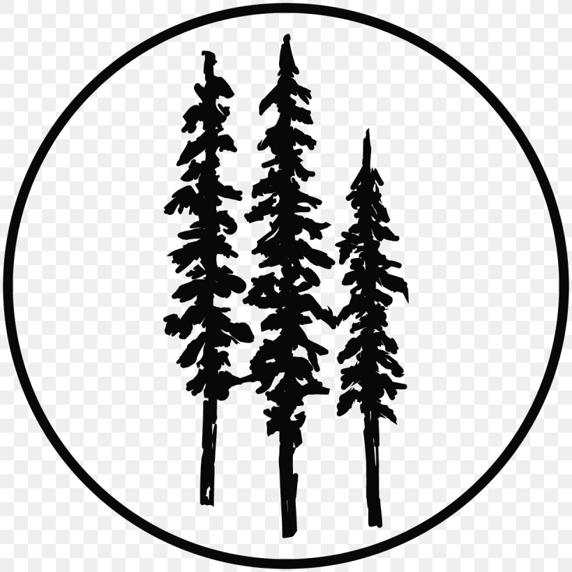 Smith River Tree Coast Redwood Drawing, PNG, 1230x1230px, Smith River, Black And White, Branch, California, Coast Redwood Download Free