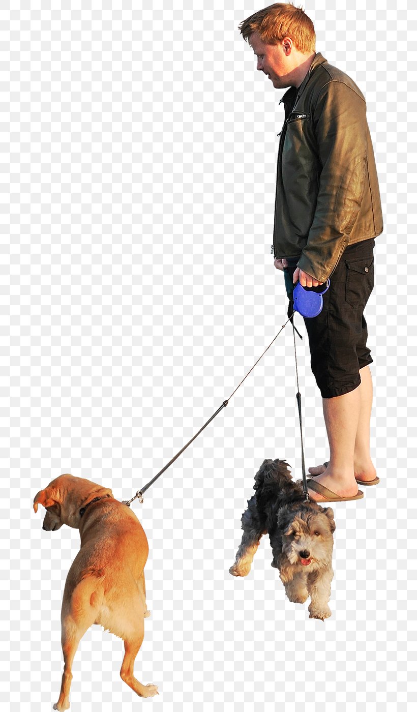 Dog Walking Clip Art, PNG, 689x1400px, Dog, Cat People And Dog People, Companion Dog, Dog Breed, Dog Grooming Download Free