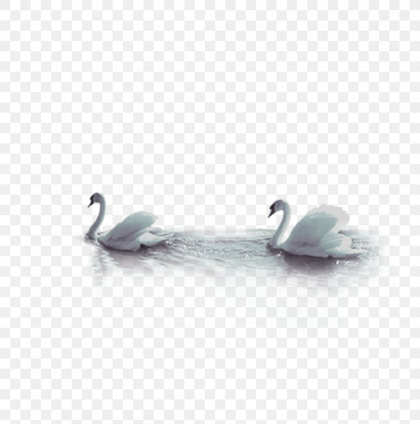 Swan Bird Goose, PNG, 1047x1058px, Goose, Blue, Body Jewelry, Book, Cygnini Download Free