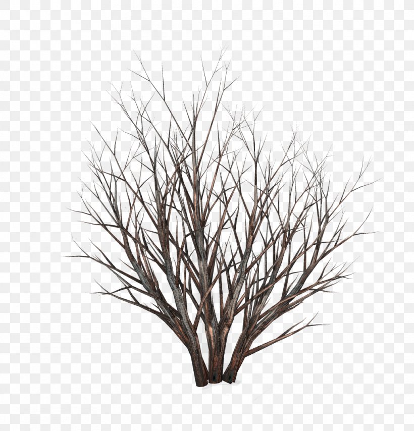 Twig Shrub Tree Clip Art, PNG, 1036x1079px, Twig, Artlantis, Black And White, Branch, European Blueberry Download Free