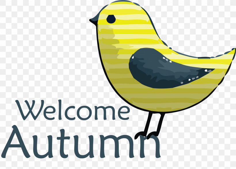 Welcome Autumn, PNG, 3000x2149px, Welcome Autumn, Beak, Biology, Birds, Grand Theft Auto Download Free