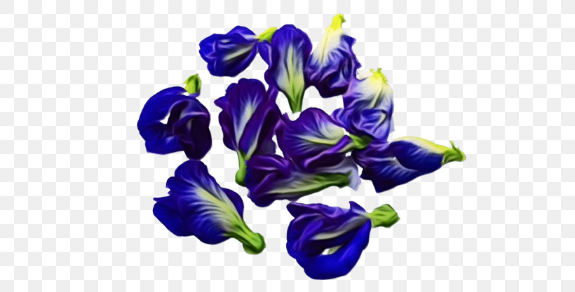 Cut Flowers Violet Cobalt Blue / M Petal Cobalt Blue / M, PNG, 626x417px, Watercolor, Biology, Cut Flowers, Flower, Paint Download Free