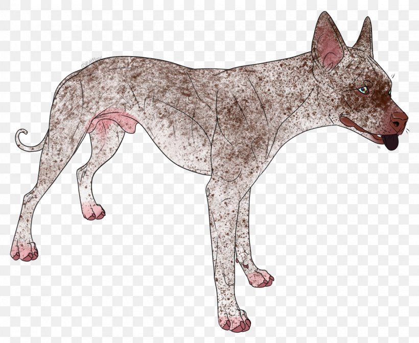 Dog Breed Mammal Canidae Carnivora, PNG, 1132x928px, Dog, Animal, Breed, Canidae, Carnivora Download Free