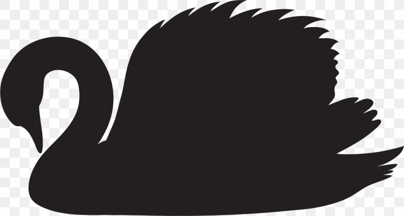 Mute Swan Black Swan Clip Art Duck, PNG, 1116x597px, Mute Swan, Beak, Bird, Black And White, Black Swan Download Free
