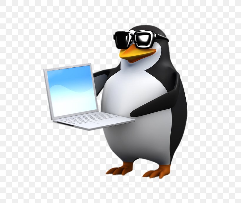 Penguin Stock Photography Royalty-free, PNG, 693x693px, 3d Computer Graphics, Penguin, Beak, Bird, Can Stock Photo Download Free