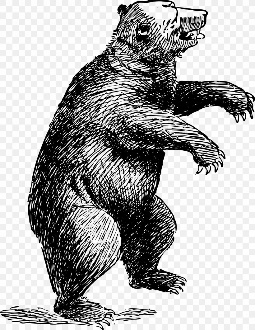 American Black Bear Polar Bear Brown Bear Clip Art, PNG, 1796x2322px, Bear, American Black Bear, Art, Beaver, Black And White Download Free
