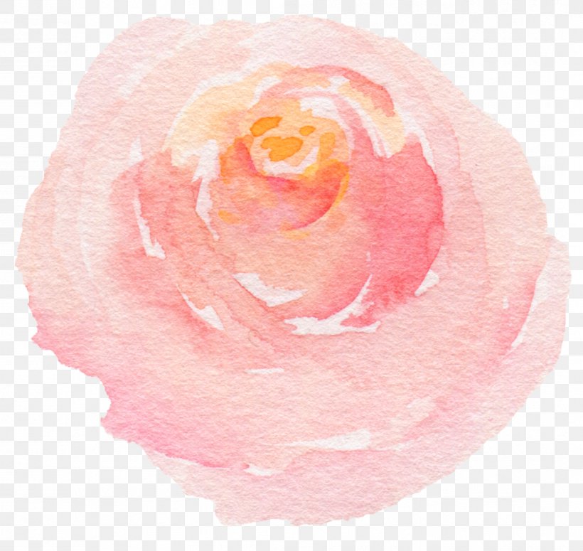 Beach Rose Watercolor Painting, PNG, 1057x1000px, Beach Rose, Designer, Flower, Garden Roses, Gratis Download Free