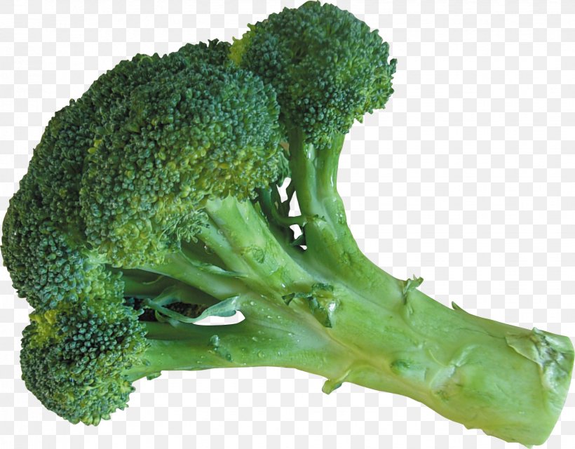 Broccoli Cauliflower Vegetable Food Ingredient, PNG, 1633x1276px, Broccoli, Cauliflower, Eating, Food, Grass Download Free