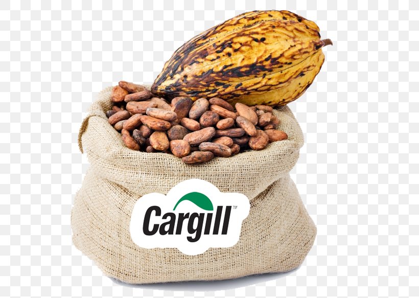 Cocoa Bean Chocolate Bar Criollo Cocoa Solids, PNG, 665x583px, Cocoa Bean, Bean, Cacao Tree, Chocolate, Chocolate Bar Download Free