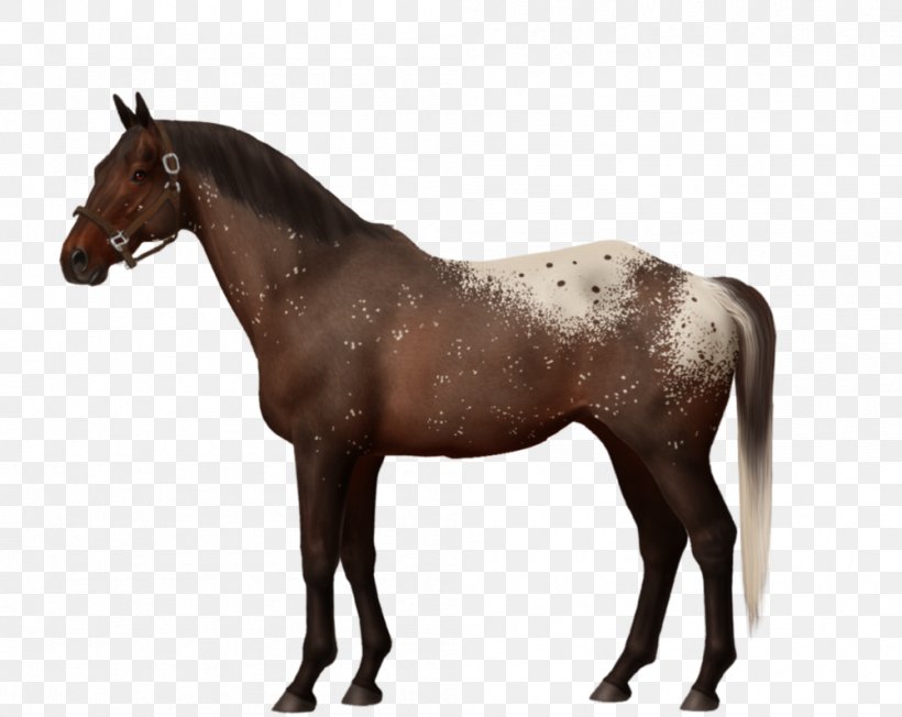 Dartmoor Pony Appaloosa Andalusian Horse Breyer Animal Creations, PNG, 1001x797px, Dartmoor Pony, Andalusian Horse, Appaloosa, Bay, Breed Download Free