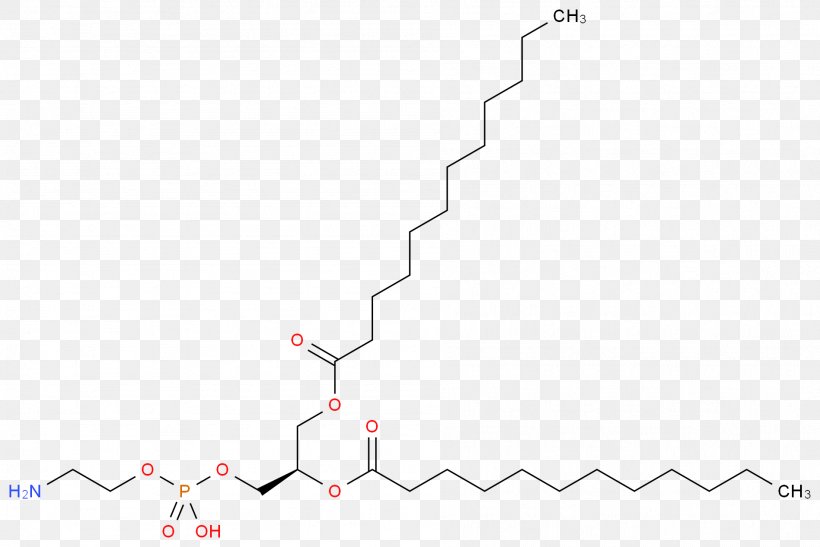 Dipalmitoylphosphatidylcholine Phospholipid Wikipedia Acyl Group, PNG, 1897x1266px, Phospholipid, Acyl Group, Area, Chemical Formula, Diagram Download Free