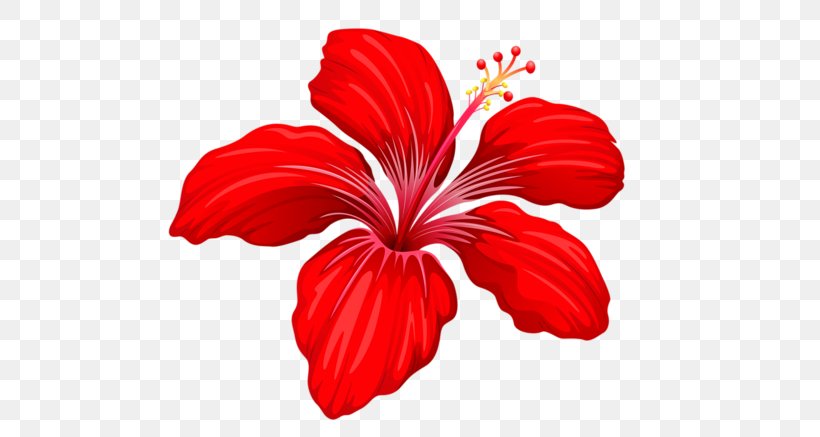 Flower Clip Art, PNG, 500x437px, Flower, Art Museum, China Rose, Chinese Hibiscus, Cut Flowers Download Free