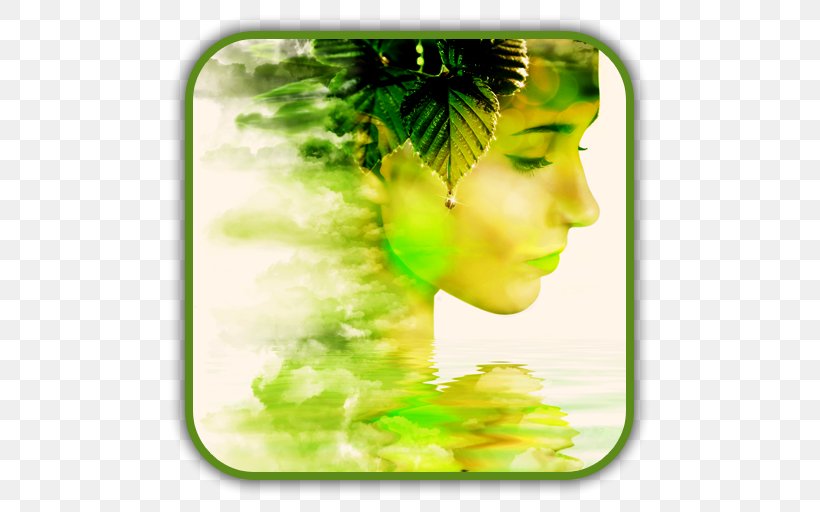 Android Picture Editor Multiple Exposure, PNG, 512x512px, Android, Google Play, Green, Leaf, Multiple Exposure Download Free