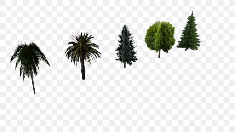 Asian Palmyra Palm Pine Evergreen Low Poly Hornbeam, PNG, 1920x1080px, Asian Palmyra Palm, Arecaceae, Arecales, Blender, Borassus Download Free