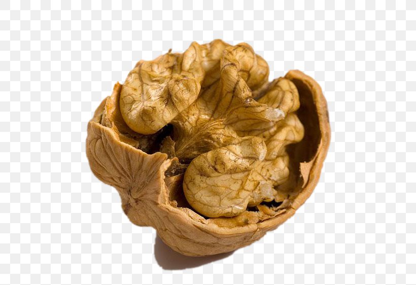 English Walnut Eastern Black Walnut Yangbi Yi Autonomous County, PNG, 600x562px, English Walnut, Candlenut, Cracker, Dish, Eastern Black Walnut Download Free