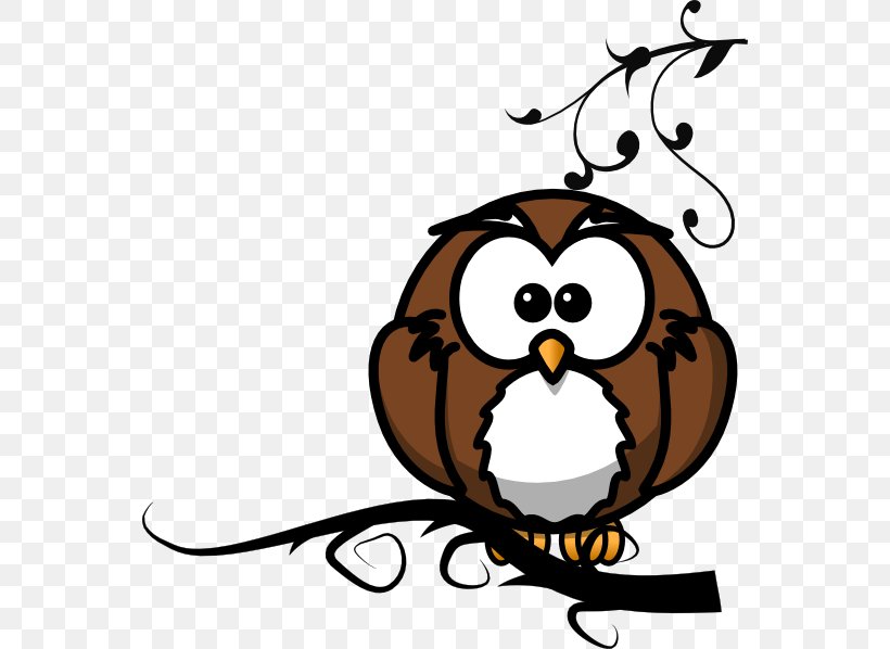 Owl Branch Clip Art, PNG, 558x598px, Owl, Artwork, Beak, Bird, Bird Of Prey Download Free