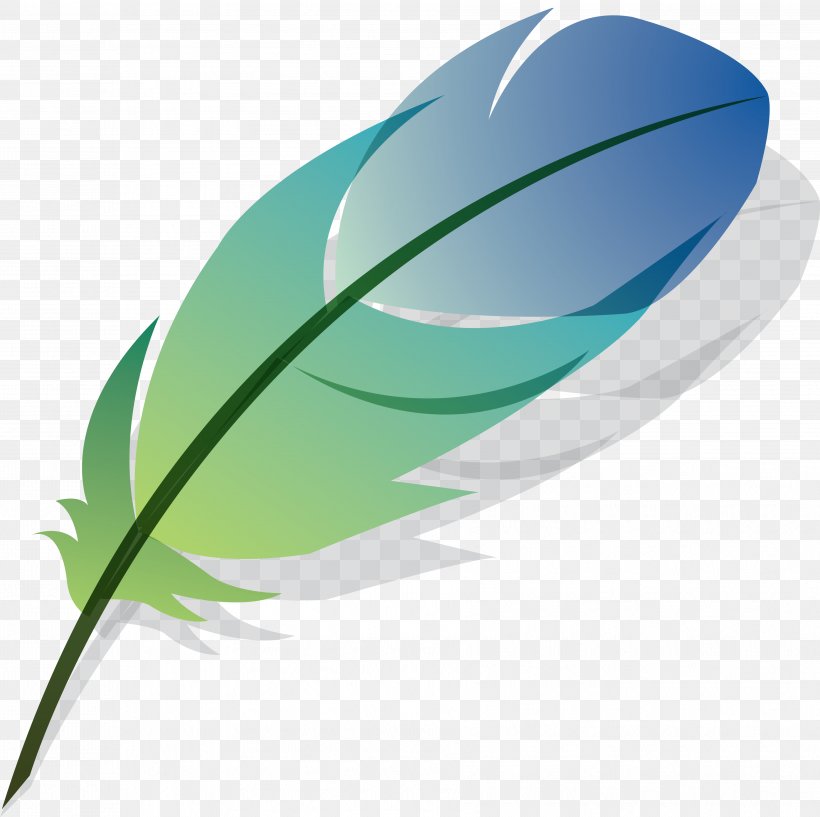 Feather Drawing, PNG, 3613x3600px, Feather, Color, Drawing, Grass, Green Download Free