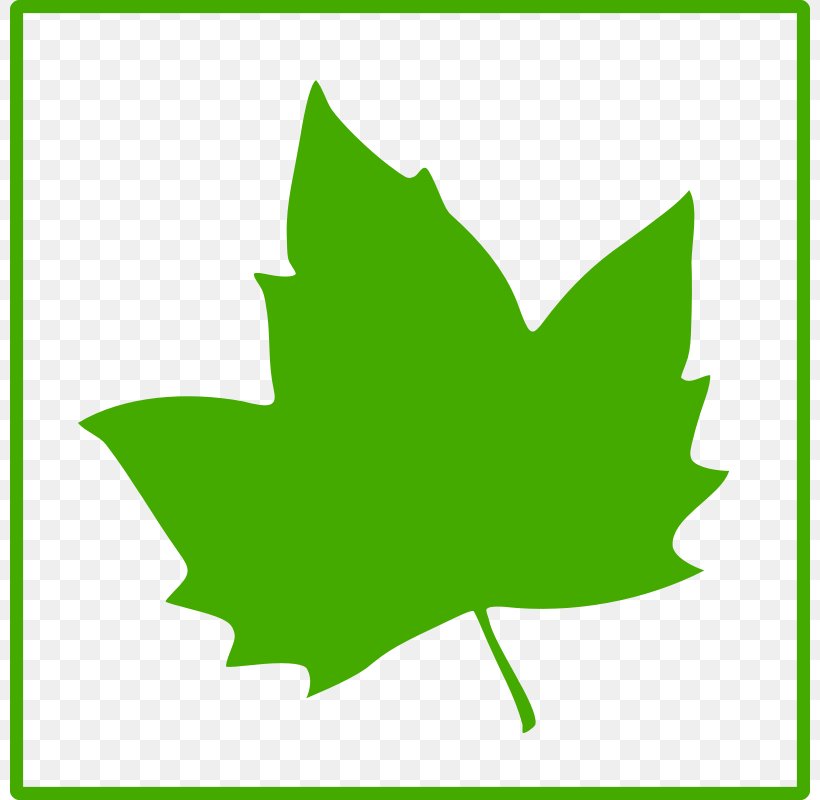 Leaf Favicon Icon, PNG, 800x800px, Leaf, Favicon, Flowering Plant, Grass, Green Download Free