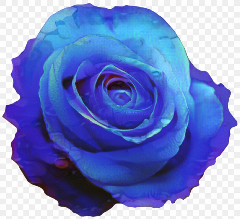 Blue Rose Clip Art Blue Flower, PNG, 1023x936px, Blue Rose, Annual Plant, Blue, Blue Flower, Cobalt Blue Download Free