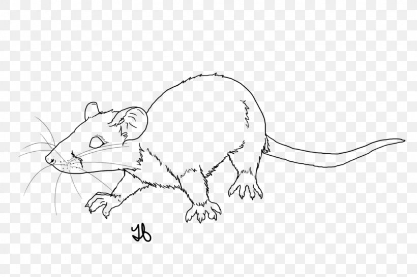 Rat Mouse Line Art Whiskers Sketch, PNG, 1024x683px, Rat, Animal, Animal Figure, Art, Artwork Download Free