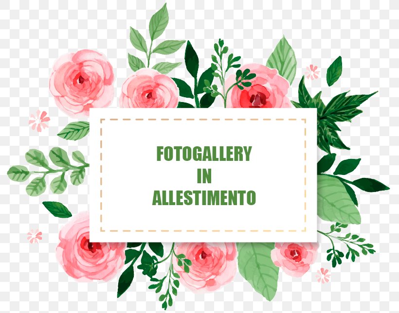 Watercolor Painting Social Media Late Bloomah Image Author, PNG, 800x644px, Watercolor Painting, Alejandro Jodorowsky, Author, Color, Cut Flowers Download Free
