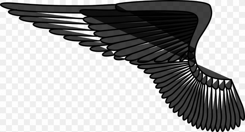 Bird Angel Wing, PNG, 1280x693px, Bird, Angel Wing, Black And White, Description, Digital Image Download Free