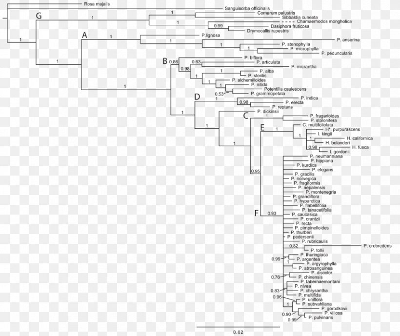 Phylogenetic Tree Silver Cinquefoil PLOS Currents Phylogenetics, PNG, 850x715px, Phylogenetic Tree, Area, Black And White, Cinquefoil, Clade Download Free
