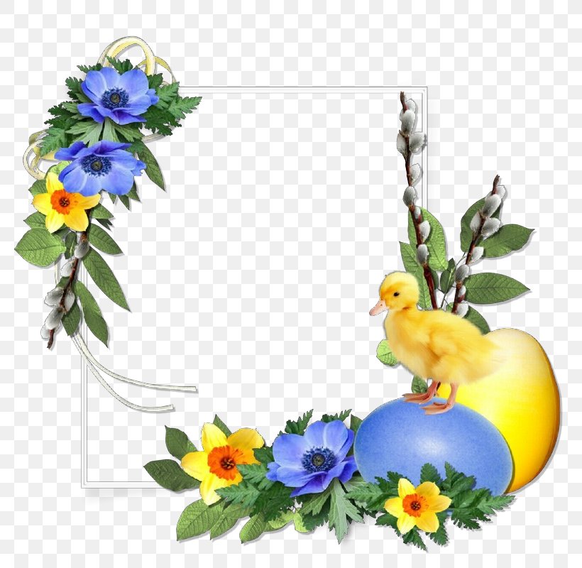 Picture Frame, PNG, 800x800px, Cartoon, Cut Flowers, Delphinium, Flower, Forgetmenot Download Free