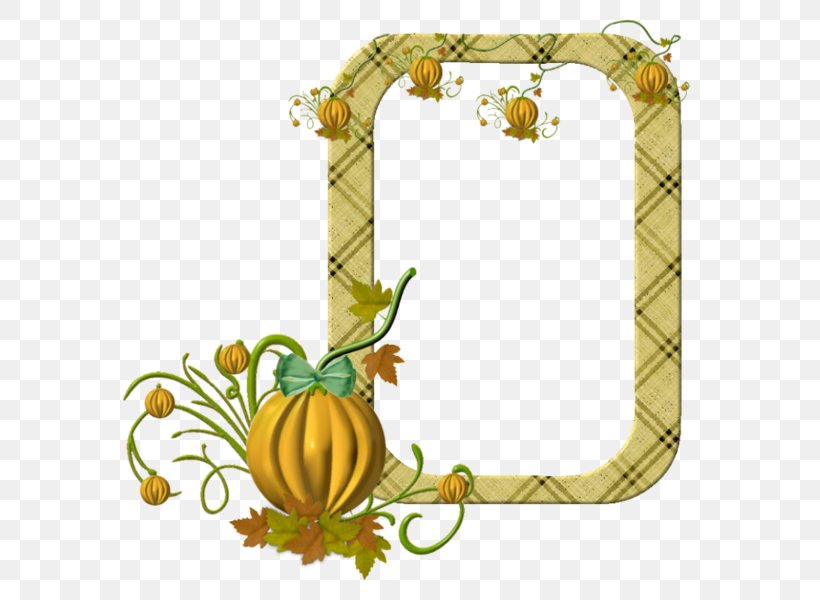 Picture Frames Preview, PNG, 600x600px, Picture Frames, Blog, Flower, Flowering Plant, Fruit Download Free