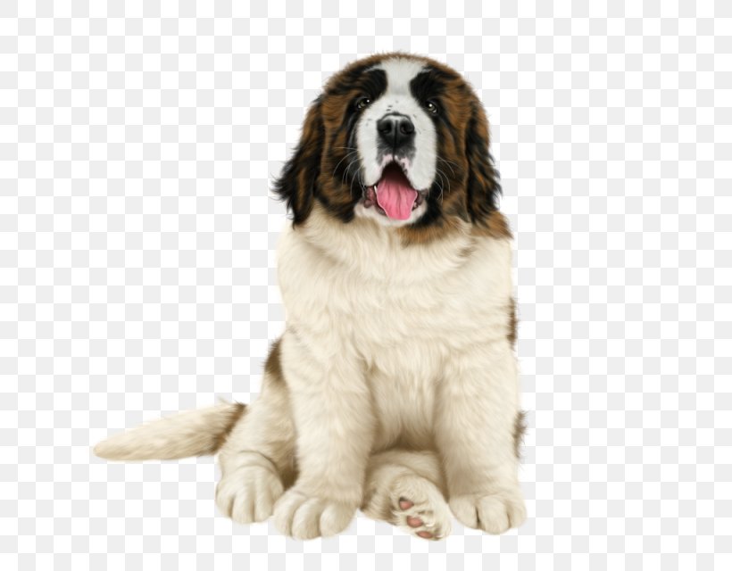 Pyrenean Mastiff St. Bernard Dog Breed Moscow Watchdog Landseer Dog, PNG, 640x640px, Pyrenean Mastiff, Ancient Dog Breeds, Carnivoran, Companion Dog, Dog Download Free