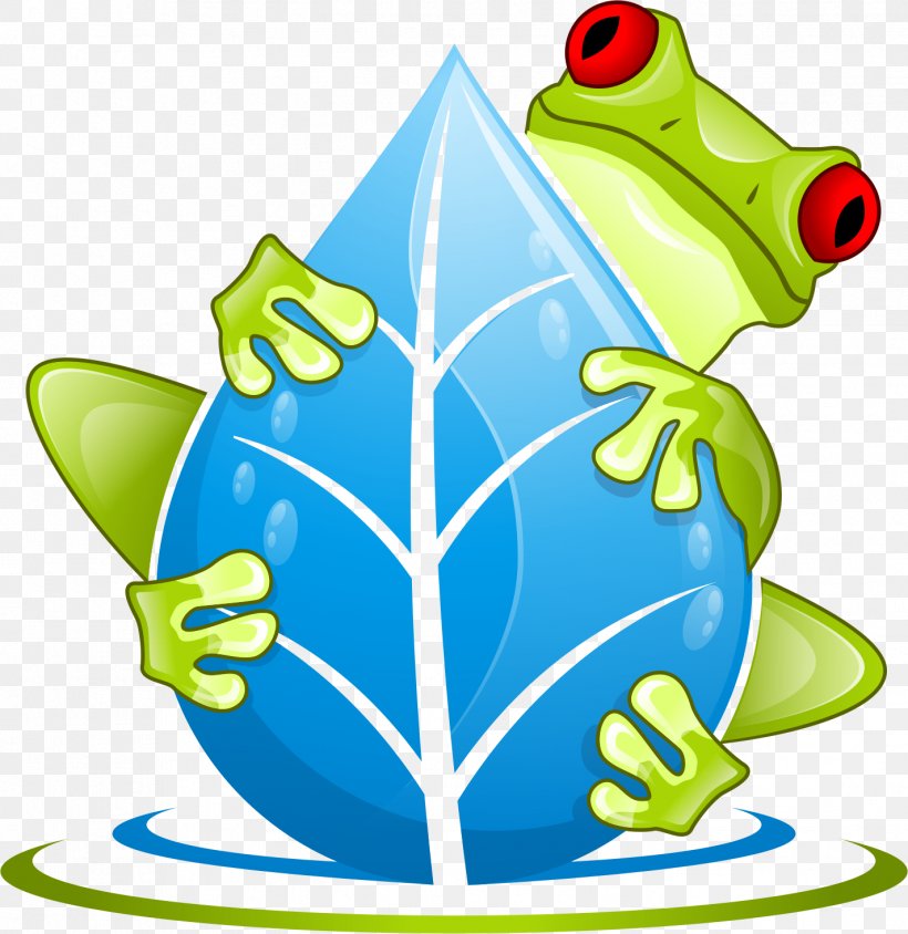 Tree Frog Amphibian The Swamp School, LLC True Frog, PNG, 1424x1466px, Frog, Amphibian, Artwork, Class, Ecology Download Free
