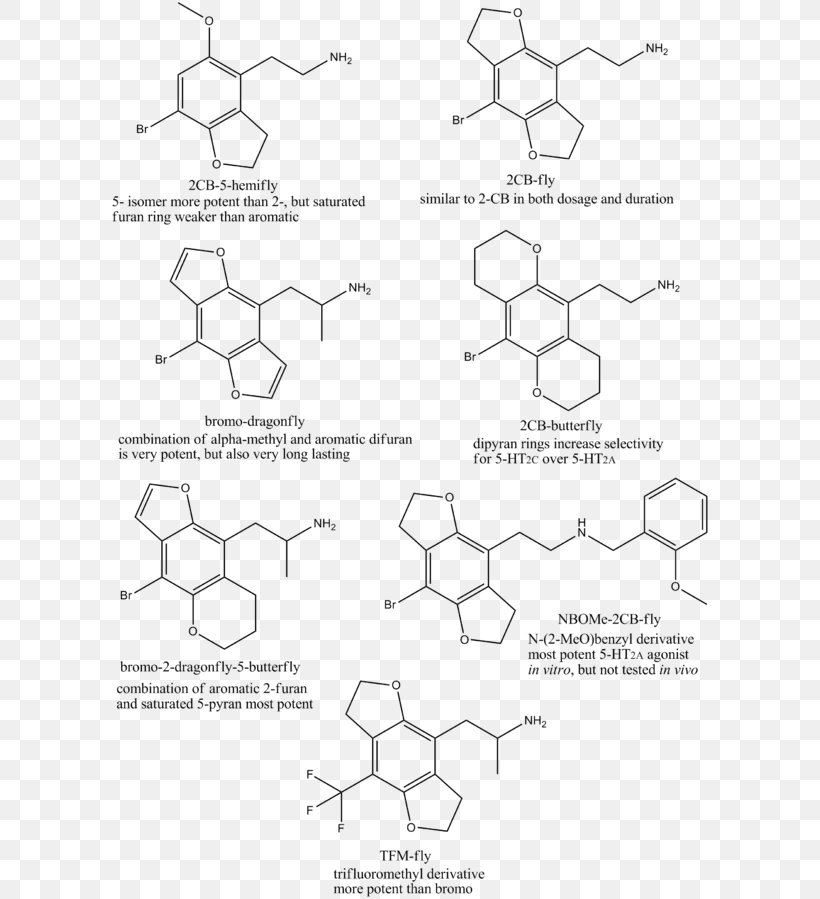 Coordination Complex Chemistry 2,2'-Bipyrimidine Chemical Synthesis Denticity, PNG, 600x899px, Coordination Complex, Ammonia, Antimetabolite, Area, Auto Part Download Free