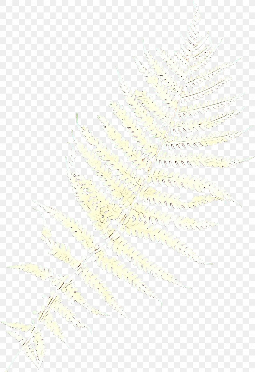 Feather, PNG, 1829x2661px, Cartoon, Feather, Plant, Vascular Plant, White Download Free