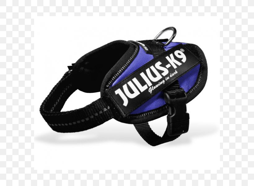 Protective Gear In Sports Cobalt Blue Leash, PNG, 600x600px, Protective Gear In Sports, Bicycle Helmet, Bicycle Helmets, Blue, Cobalt Download Free