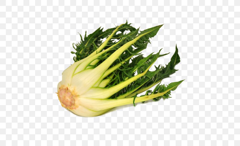 Puntarelle Vegetarian Cuisine Chicory Chard Endive, PNG, 500x500px, Puntarelle, Chard, Chicory, Choy Sum, Endive Download Free