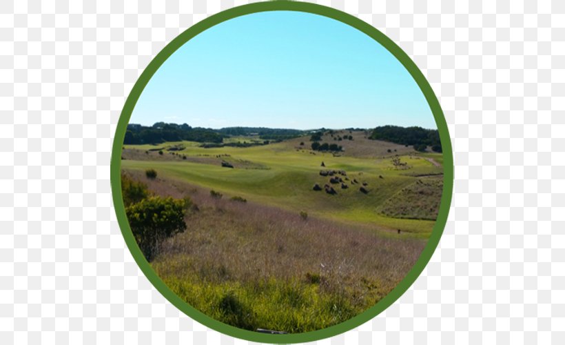 Shire Of Mornington Peninsula International Golf Specialists | Golf Tours & Packages Grassland, PNG, 500x500px, Mornington, Farm, Field, Golf, Grass Download Free