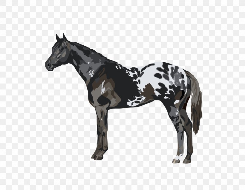 Stallion Appaloosa Tennessee Walking Horse Mustang American Paint Horse, PNG, 1800x1400px, Stallion, American Paint Horse, Animal Figure, Appaloosa, Black Download Free