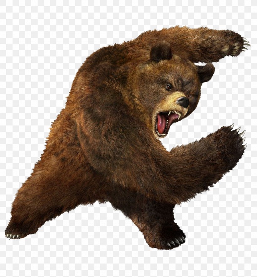 Tekken 3 Grizzly Bear Heihachi Mishima Brown Bear, PNG, 950x1024px, Tekken 5, Bear, Brown Bear, Carnivoran, Devil Jin Download Free