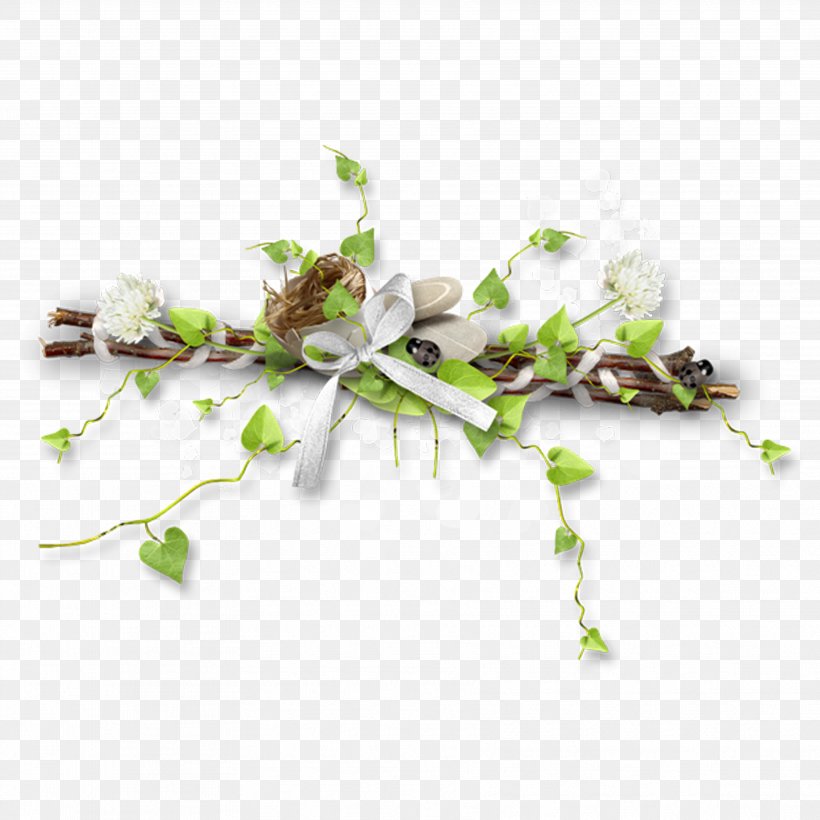 Download Clip Art, PNG, 3543x3543px, Flower, Branch, Floral Design, Google Images, Herb Download Free