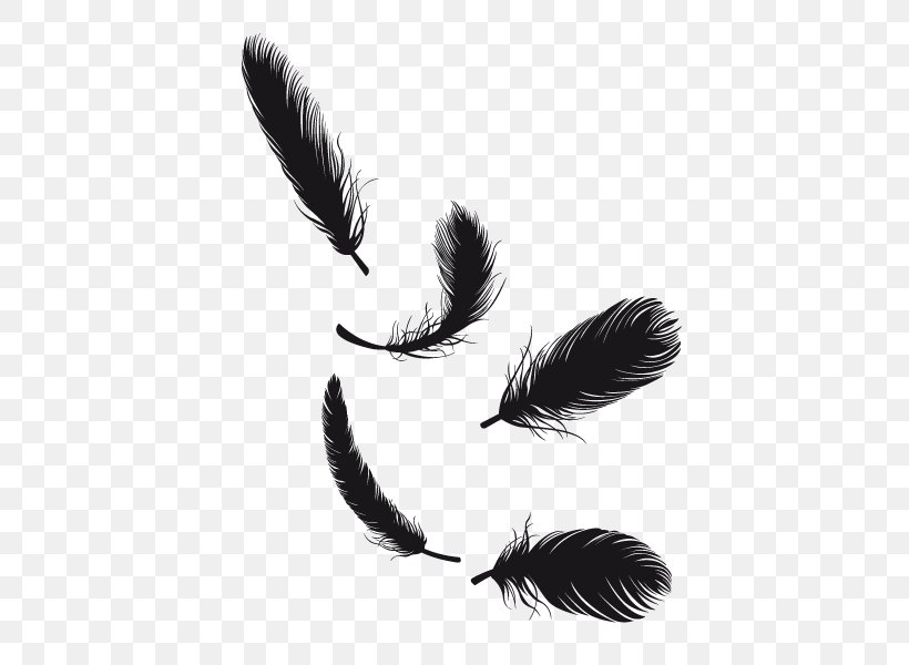 Feather Tail Pen, PNG, 600x600px, Feather, Black And White, Doll, Dollz, Eyelash Download Free