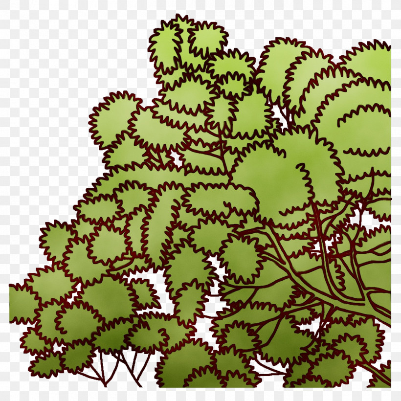 Leaf Flower Green Pattern Shrub, PNG, 1400x1400px, Watercolor, Biology, Flower, Green, Leaf Download Free