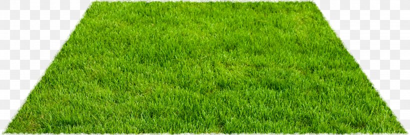 Artificial Turf Lawn Fodder Yard, PNG, 2967x981px, Artificial Turf, Field, Fineart Photography, Flooring, Fodder Download Free
