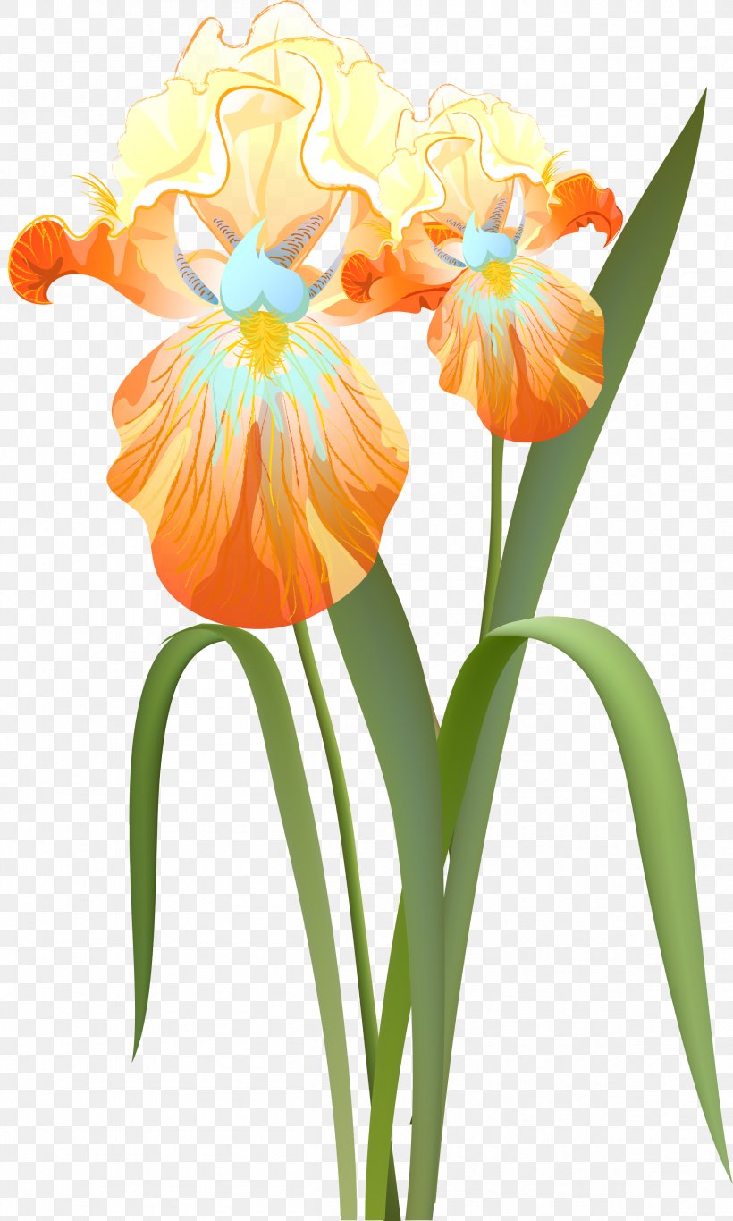 Cut Flowers Irises Clip Art, PNG, 2401x4000px, Flower, Cattleya, Cut Flowers, Floral Design, Floristry Download Free
